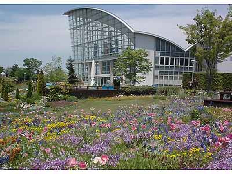 名古屋港でお花畑散策 ブルーボネット 名古屋の観光 旅行 All About