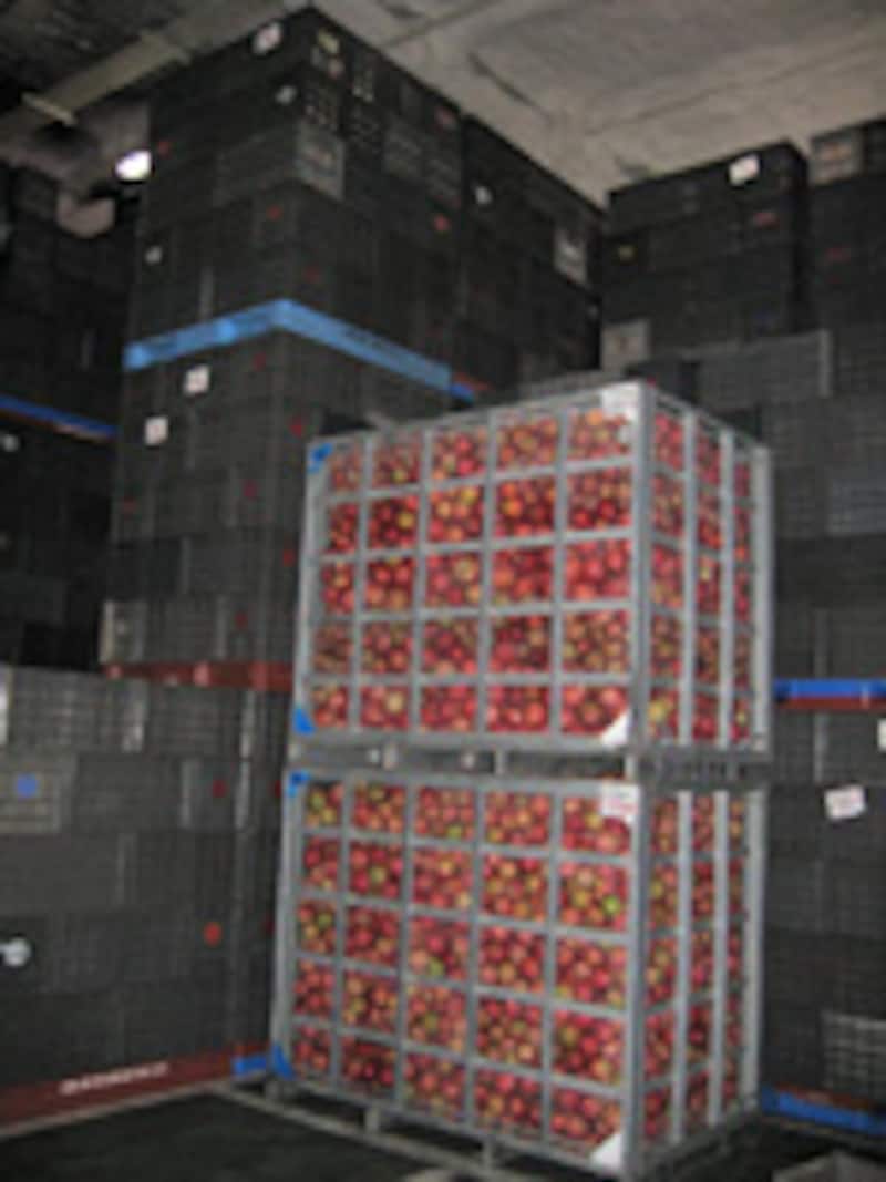 りんご貯蔵施設