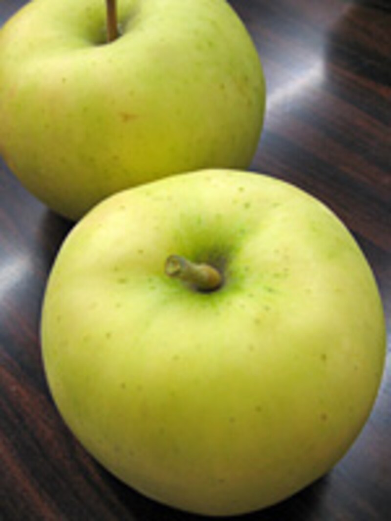 新しい品種「トキ」