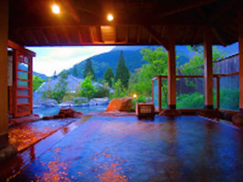 名苑と名水の宿 梅園