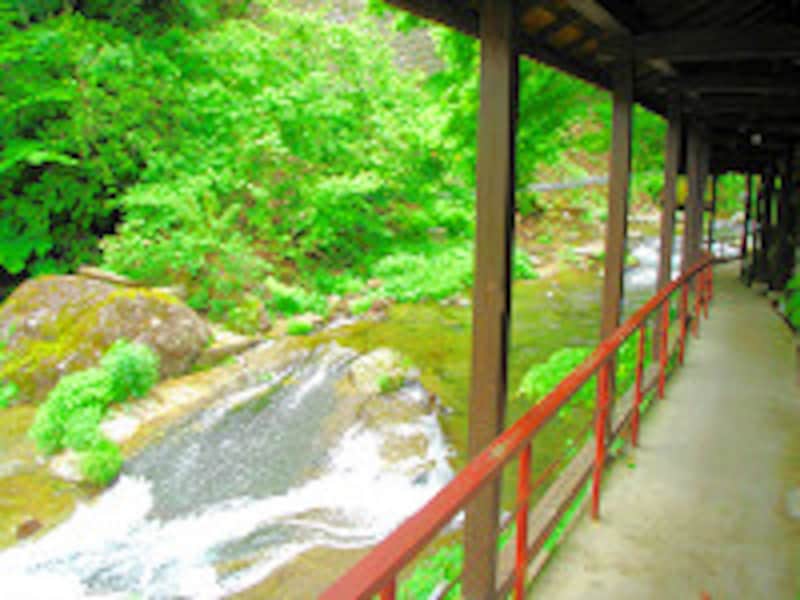 二岐温泉柏屋旅館歩道