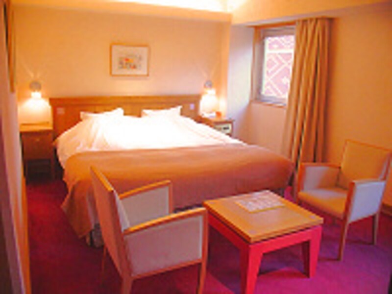 北海道ホテル ダブルルーム