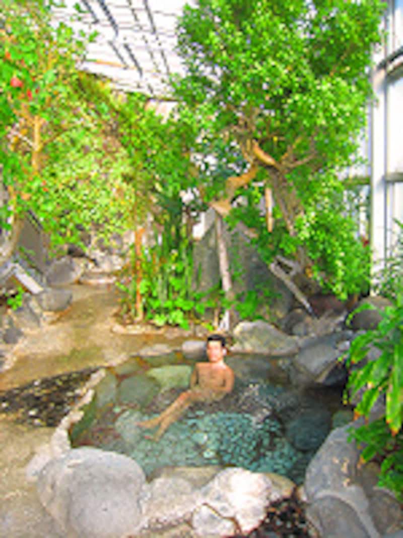 カターラ福島屋