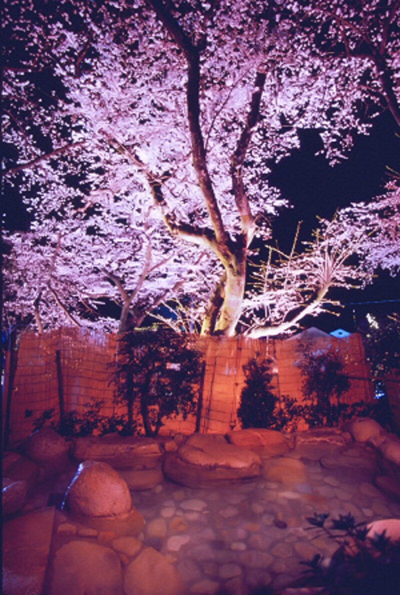 村杉温泉露天風呂