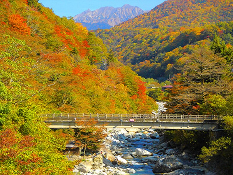 新穂高温泉新穂高の湯