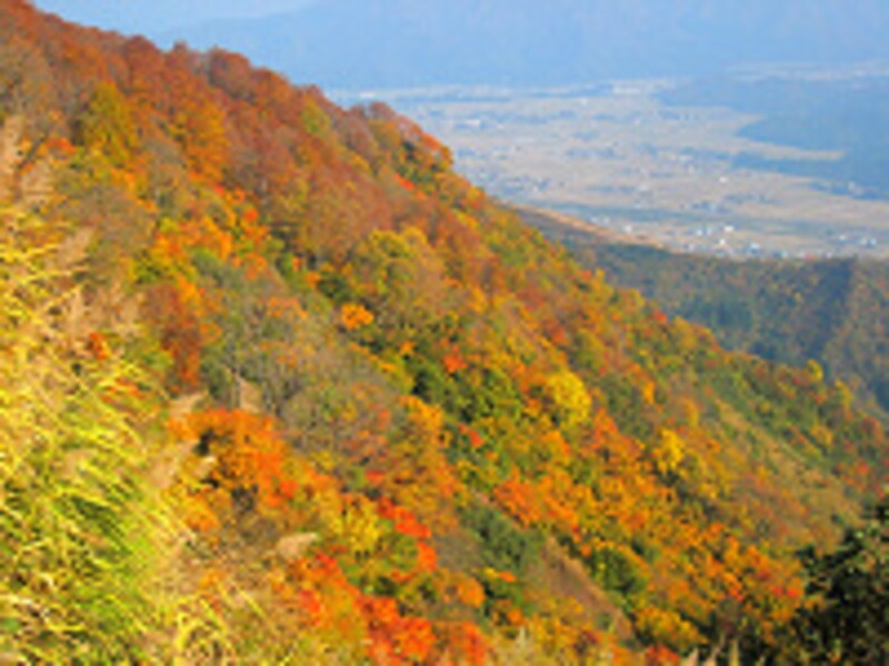 魚沼スカイライン