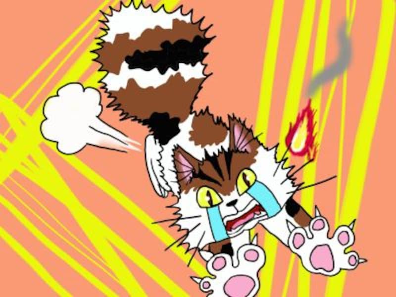 cardinal【形】主要な