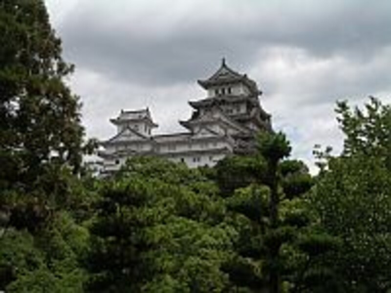 ホストファミリー
