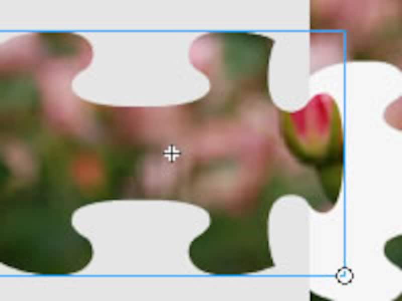 サンプルの概要