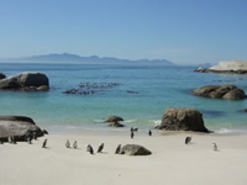 ボルダーズ・ビーチ