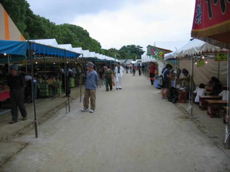 博多三大祭り 箱崎宮放生会 開催中 博多の観光 旅行 All About