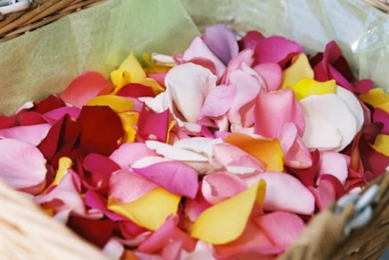 遺灰と一緒にお花を海にまく場合には、自然に還りやすいように花びらだけにすることをおススメします。