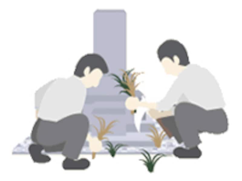 石の継目から雑草が生えてくることもあります。接着が弱いと、そこに土や植物の種が入り込んで芽を出してしまうこともあります