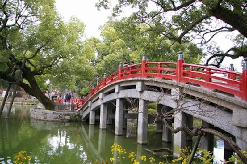 2 4 1月中旬から咲き始め 太宰府天満宮の飛梅 寺 神社 All About