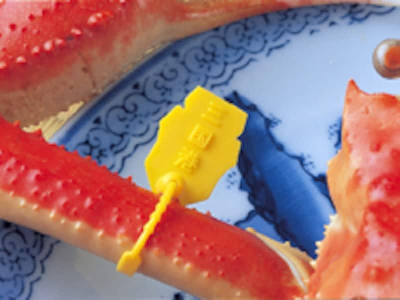 越前ガニの黄色タグ