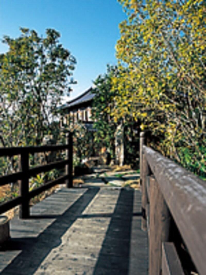 五足のくつ 外観