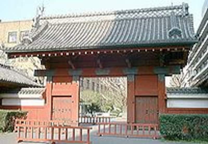 画像の代替テキスト