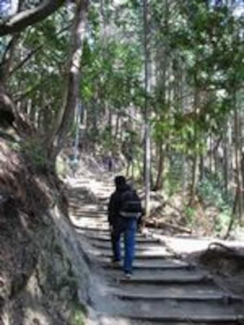 画像の代替テキスト