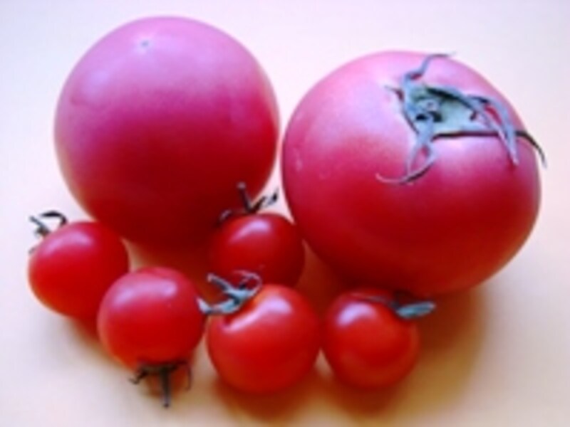 画像の代替テキスト