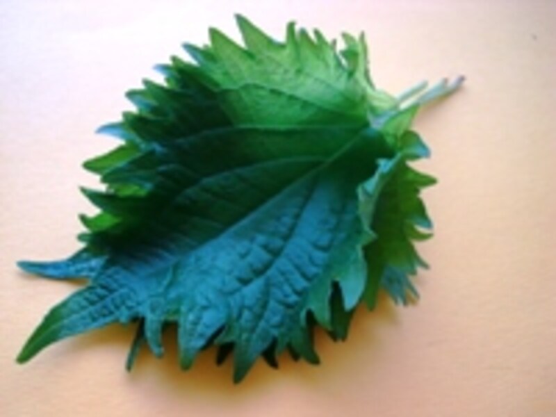 画像の代替テキスト