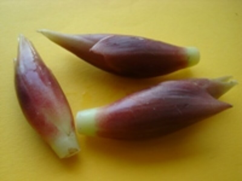 画像の代替テキスト