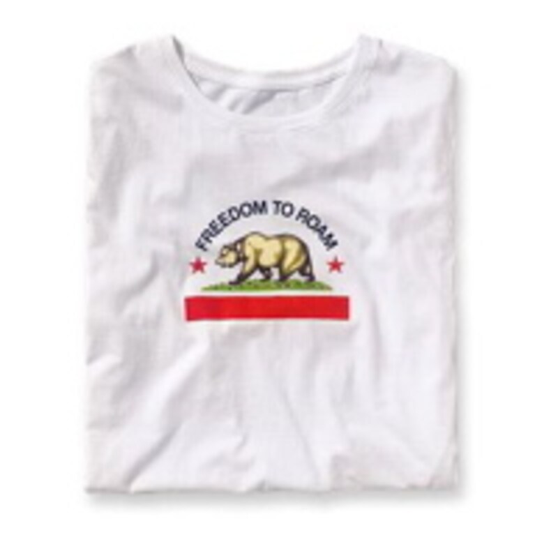 パタゴニアのTシャツ