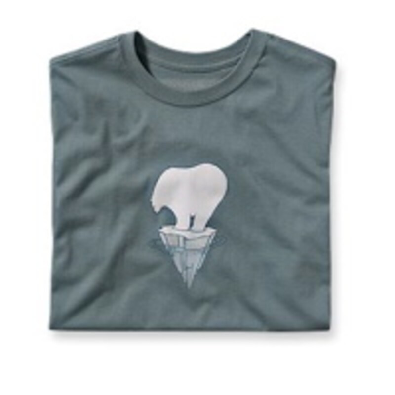 パタゴニアのTシャツ