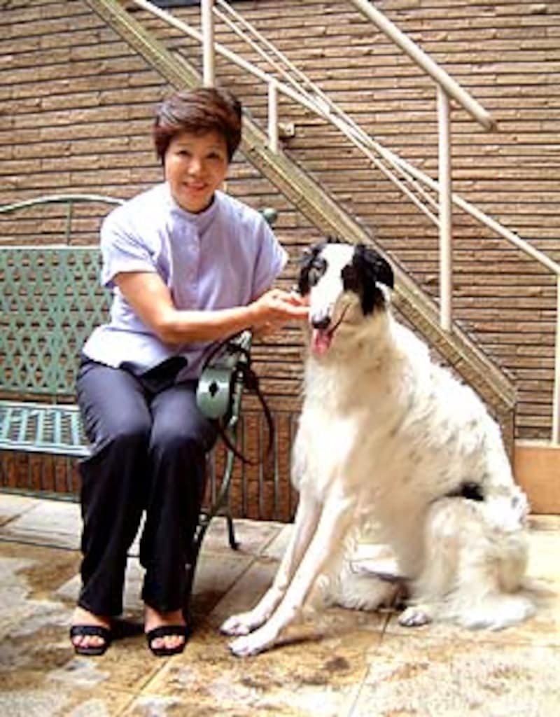 ボルゾイ 犬 All About ボルゾイ 犬 All About