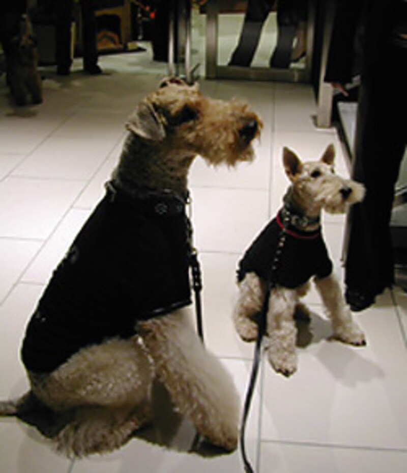 img1