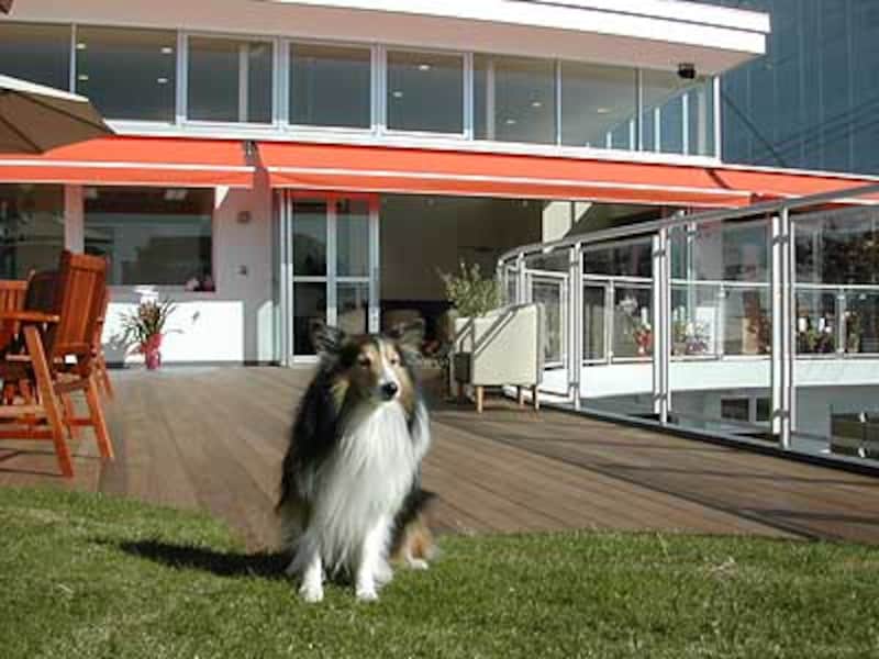 img1
