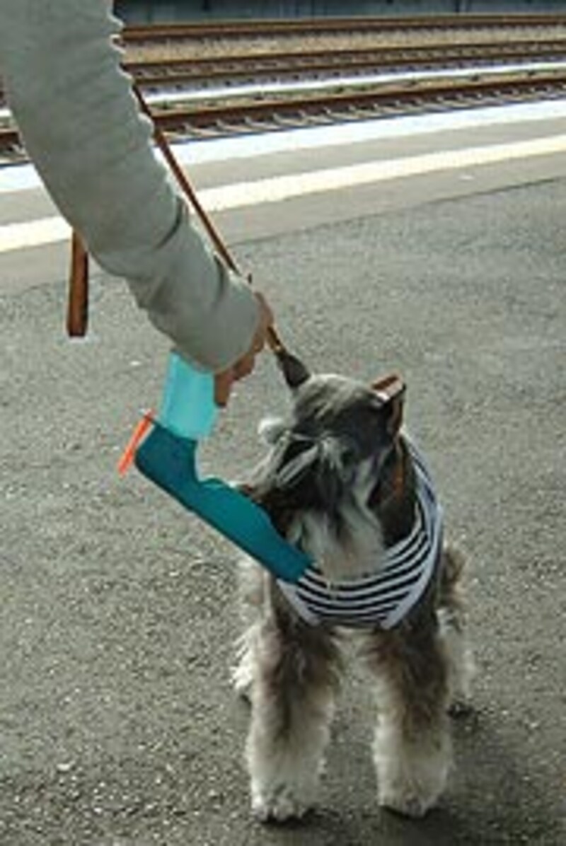 img3