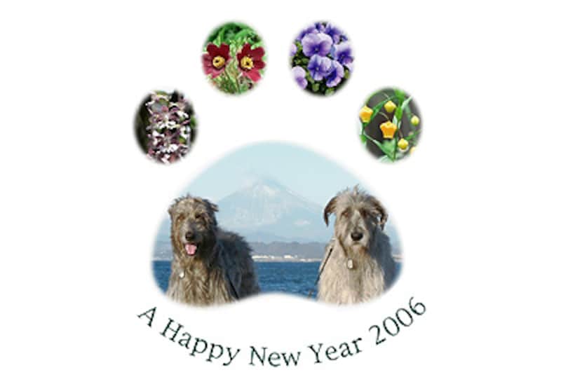 恒例 愛犬のいる年賀状まつり 犬 All About