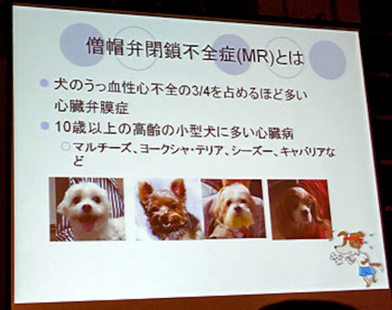 臨床獣医学フォーラム レポート 心臓病 全文 犬 All About 臨床獣医学フォーラム レポート 心臓病 全文 犬 All About