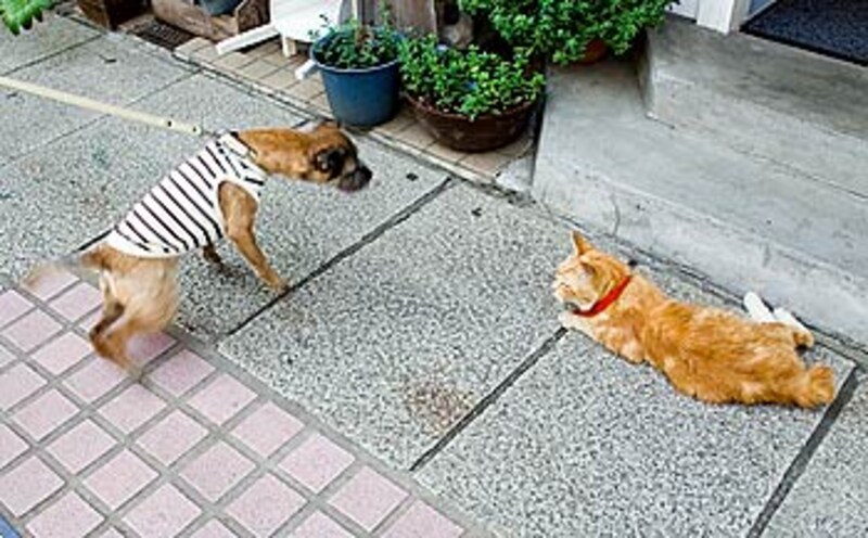 img1