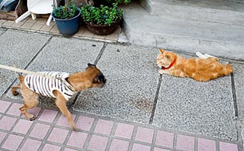img1
