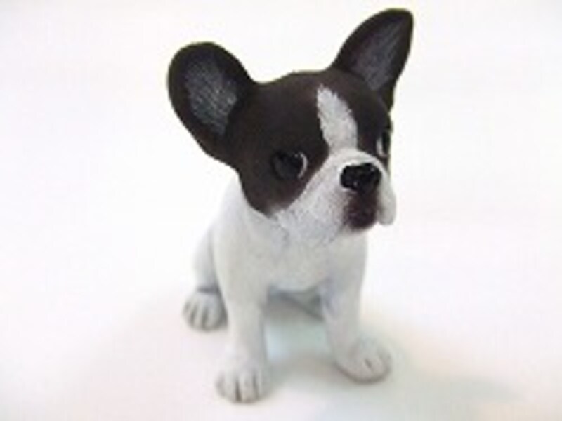 新作のフレンチ・ブルドッグ