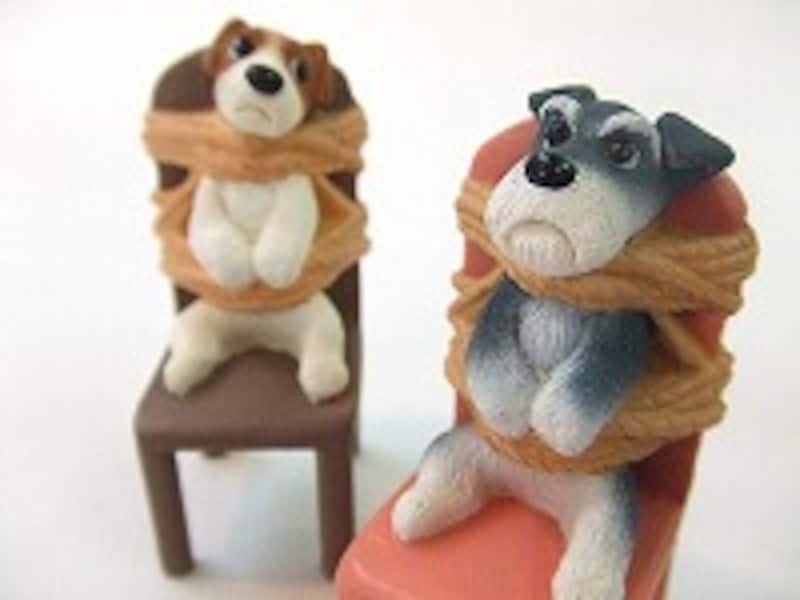 “The Prisoner Dogs”