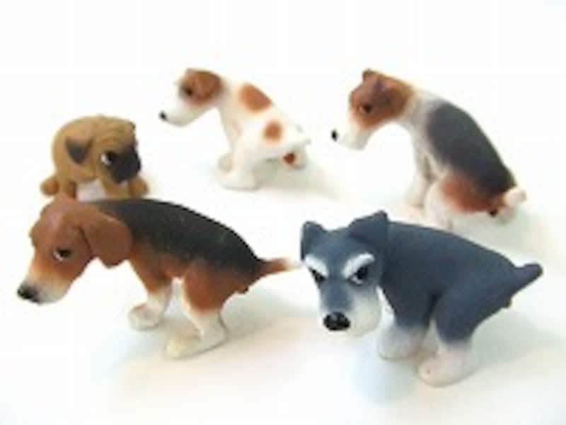 “ウ●チング・ドッグ”