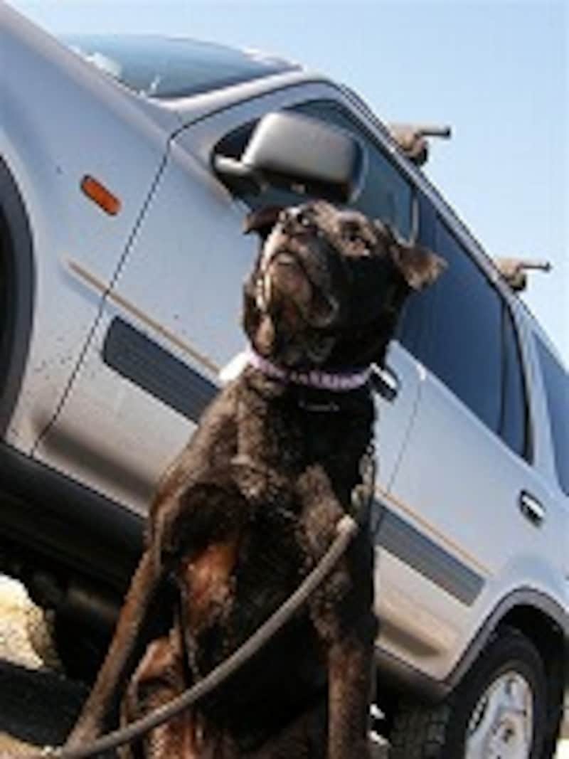 黒には同系色のものを