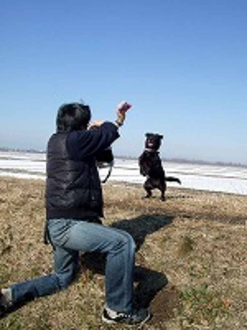 光の程度と状況を考える