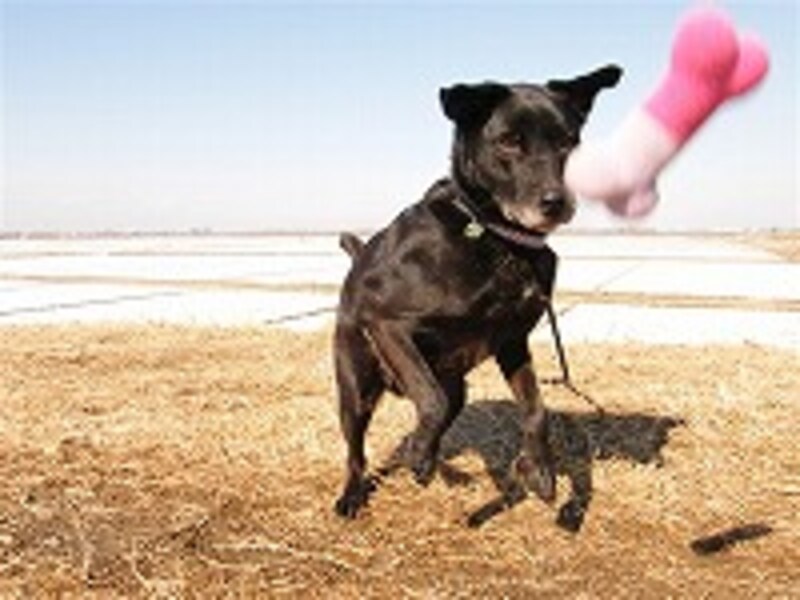 オモチャで楽しく