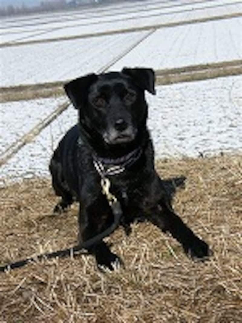 ピントがぴたり