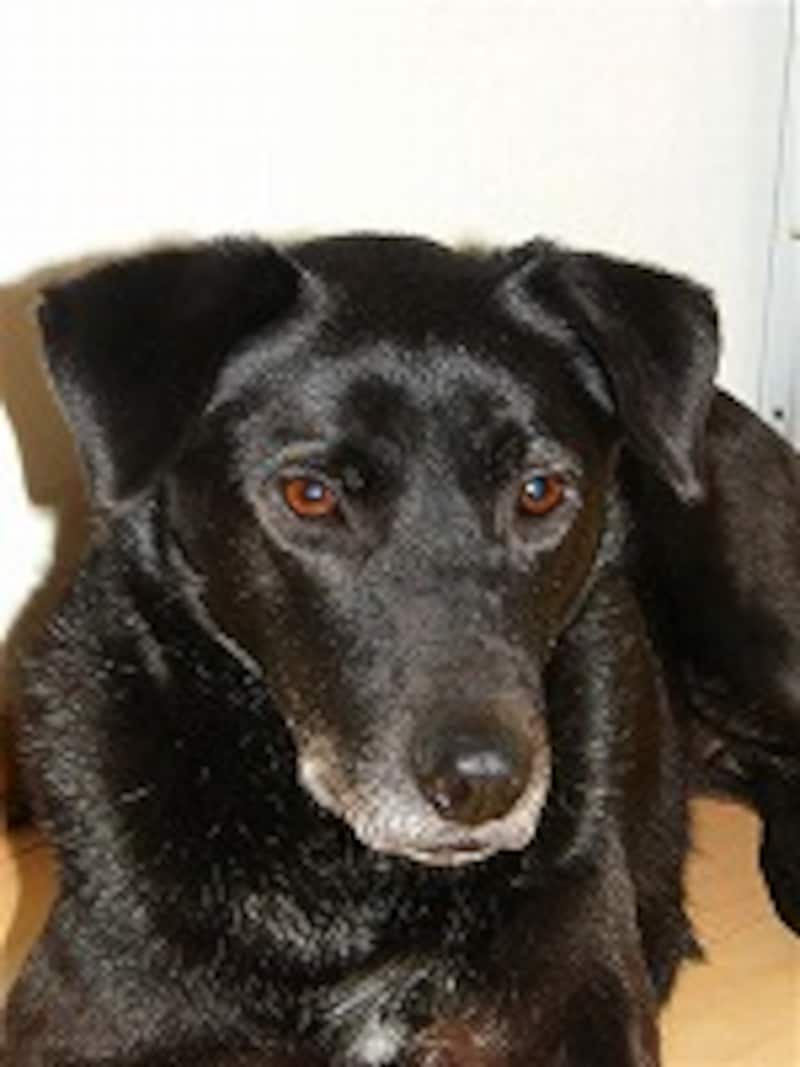 赤目が軽減された