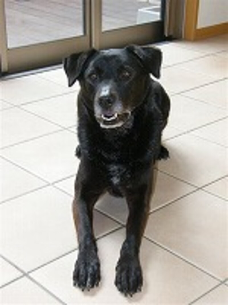 ストロボ（スローシンクロ）使用