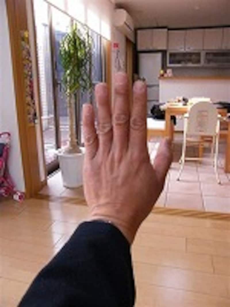 窓に背を向けて撮影