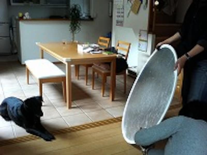 何かと役に立つレフ板