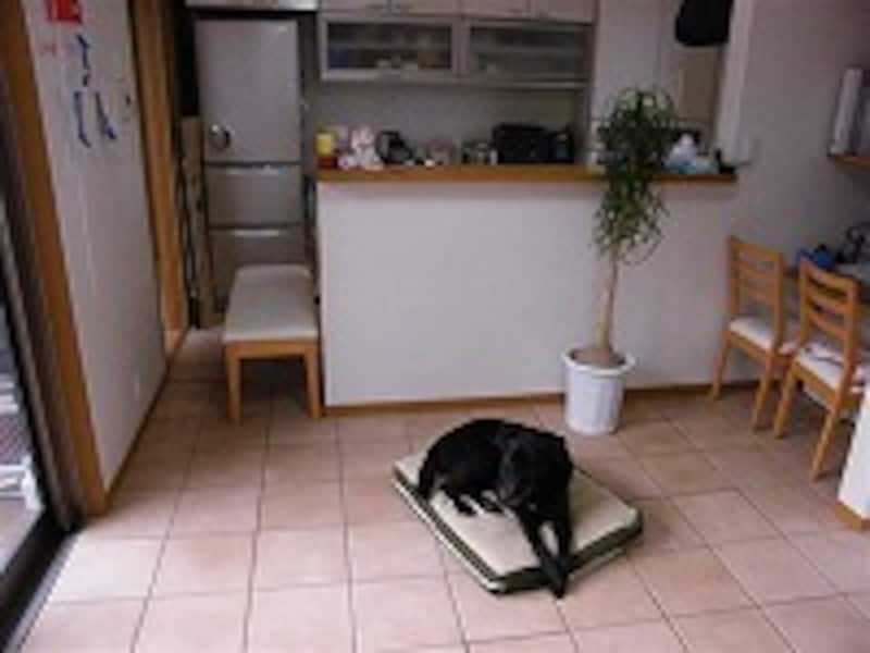 何を撮りたいのか主題がはっきりしない