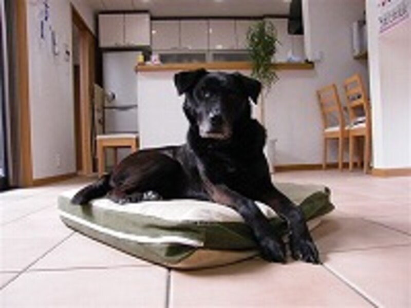 主題もはっきりし、ぐっと雰囲気も出た