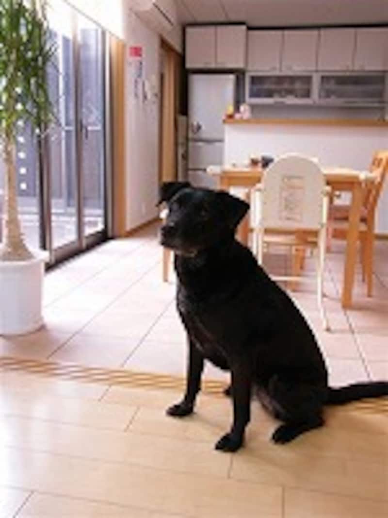 露出補正していない写真