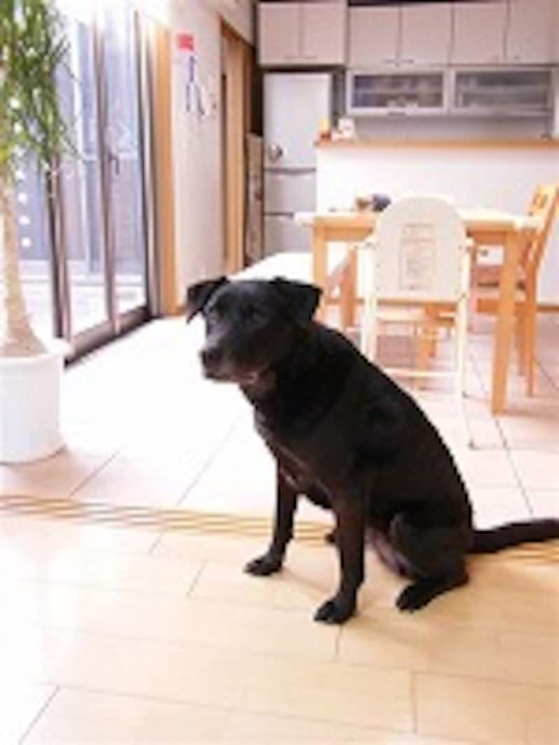 露出補正後の写真